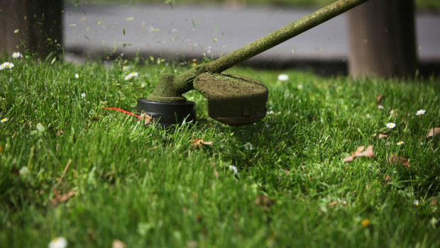 How to supercharge your string trimmer, save money & give your yard a cleaner, greener cut